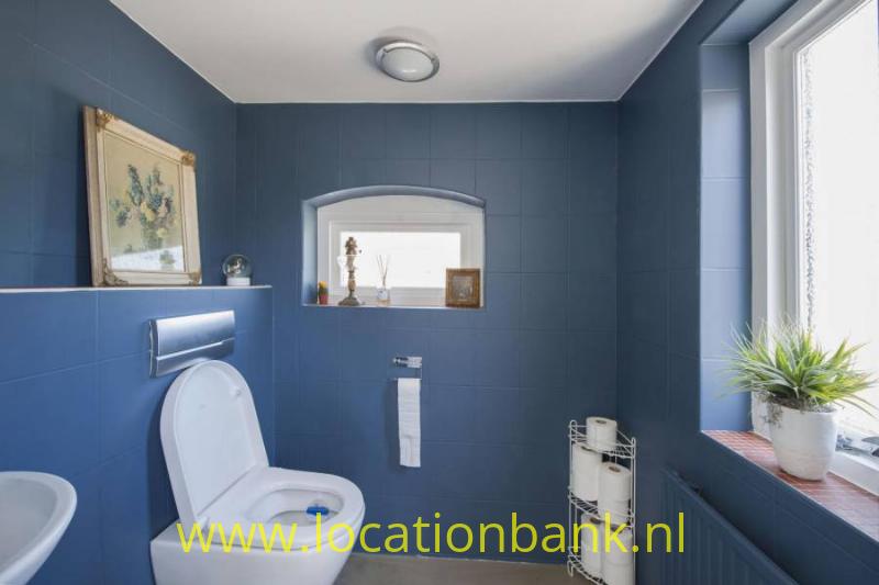 blauw toilet