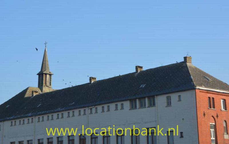 foto_26004