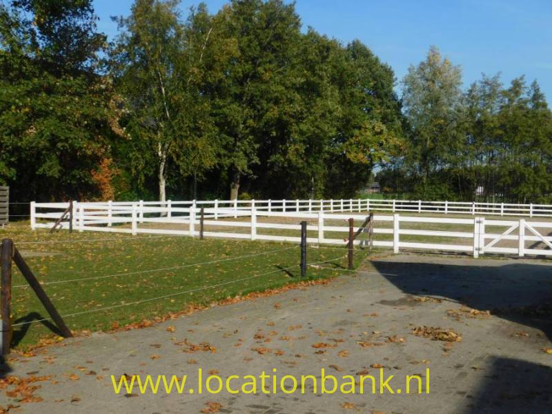 manege paarden