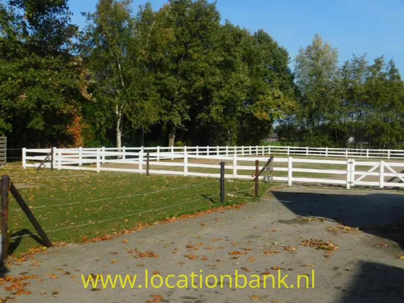 manege paarden