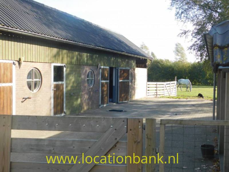 Paarden stallen