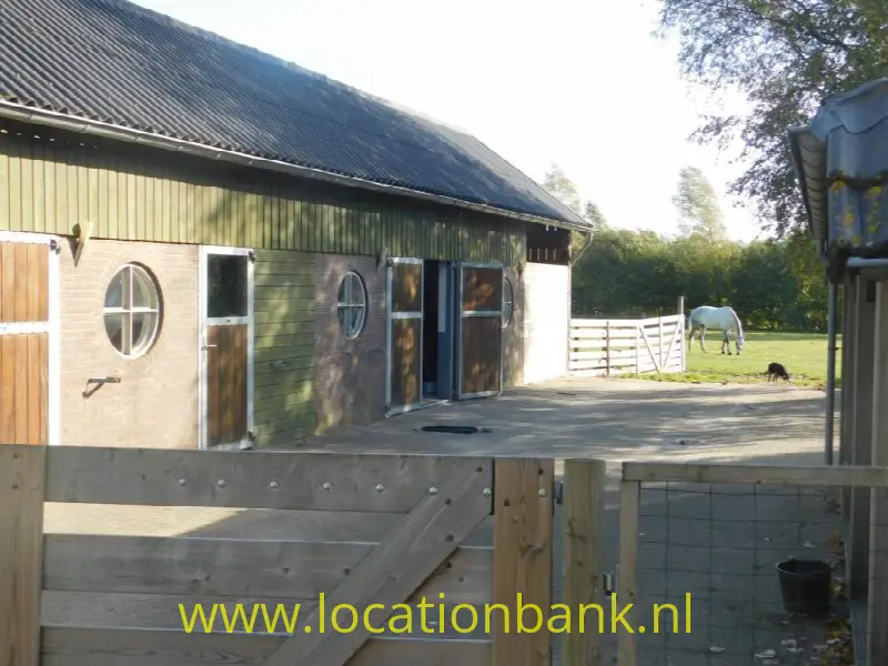 Paarden stallen