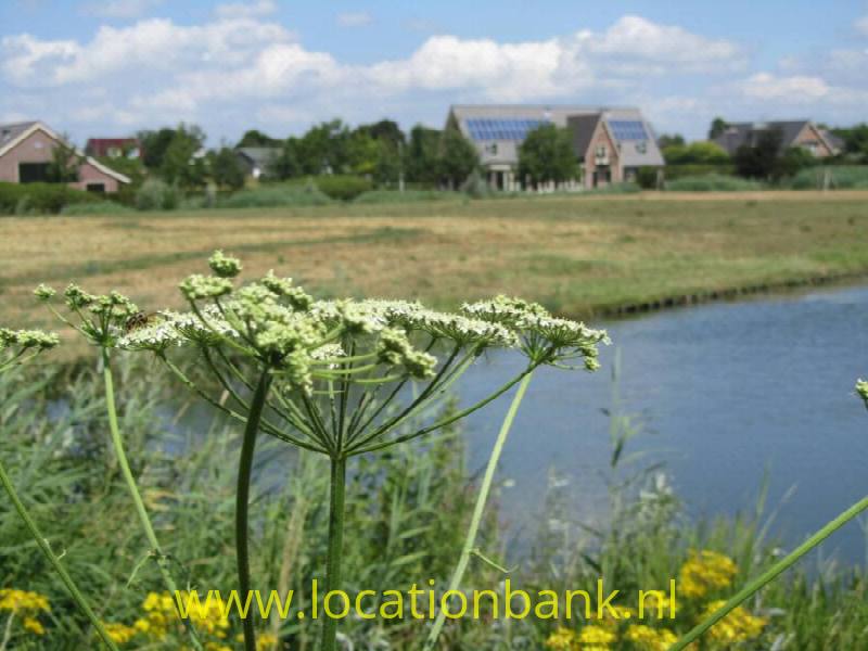 foto_27278