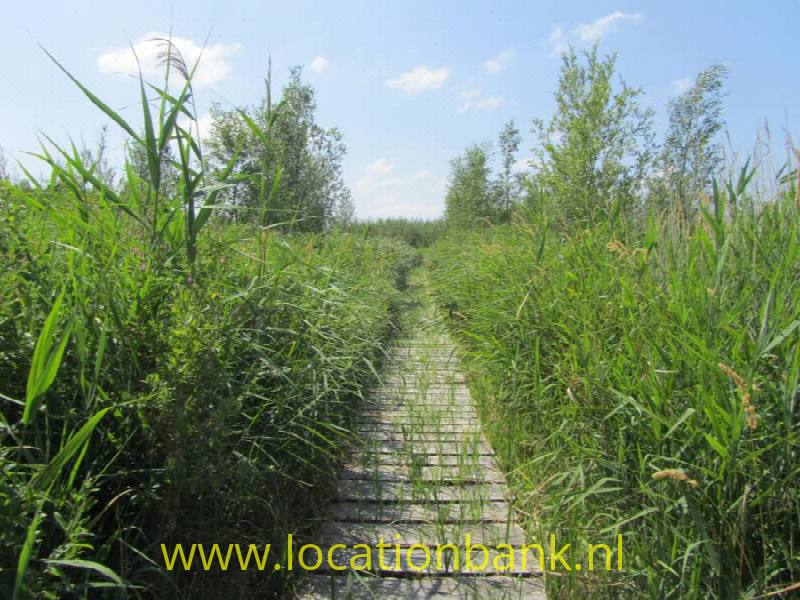 foto_27279