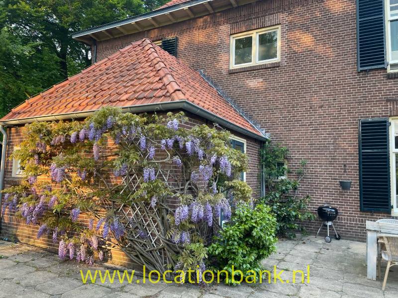 foto_50524