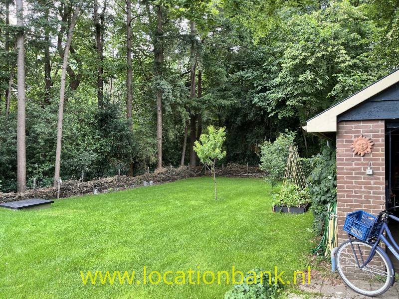 foto_50536