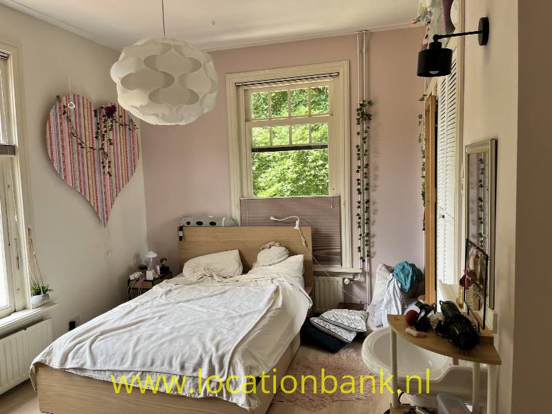 foto_50539