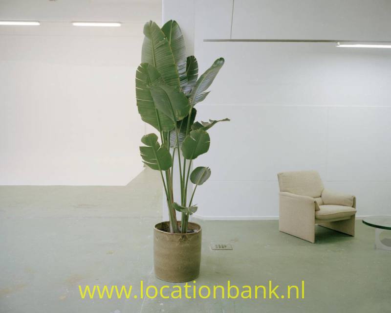foto_28605