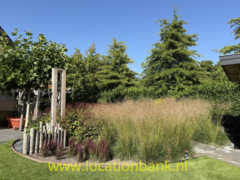 foto_52430