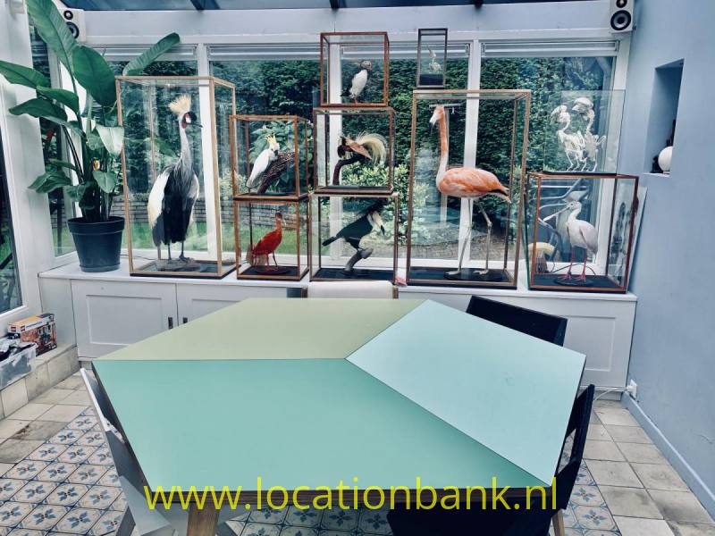 foto_30947