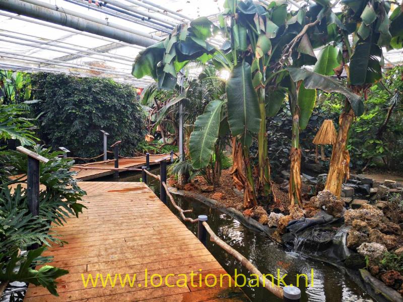 foto_30739