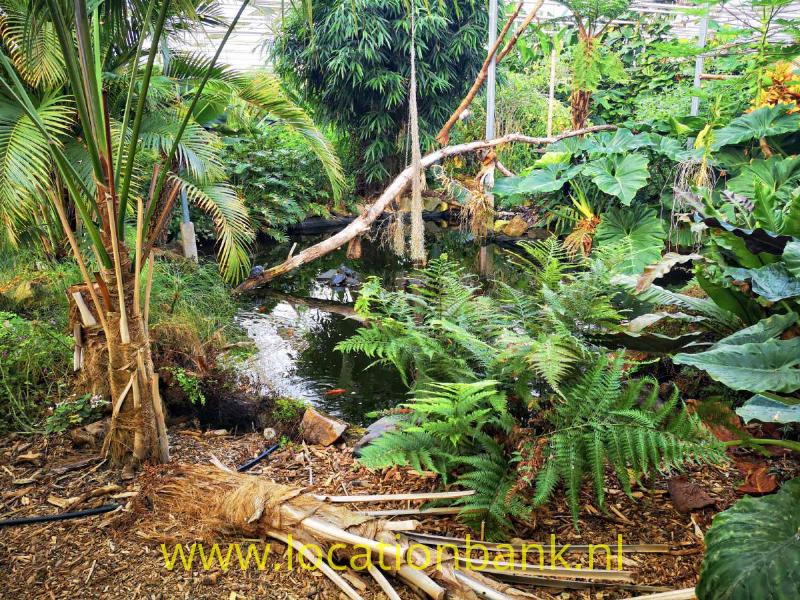 foto_30742
