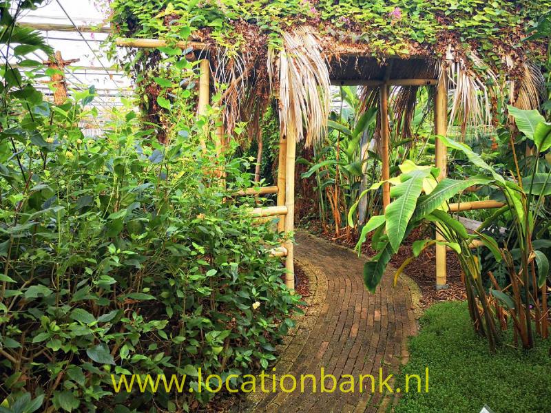 foto_30743