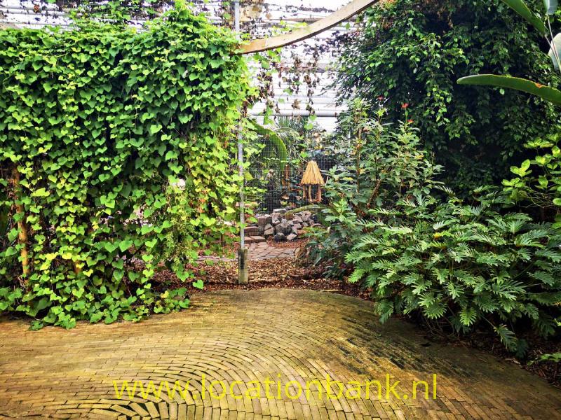 foto_30749