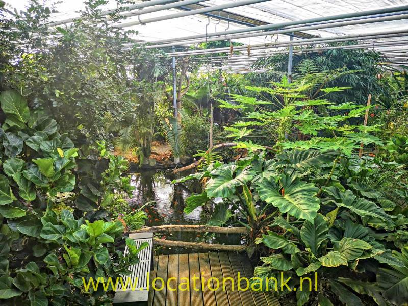 foto_30752