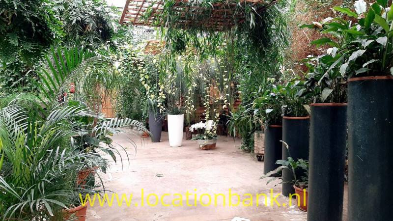 foto_31007