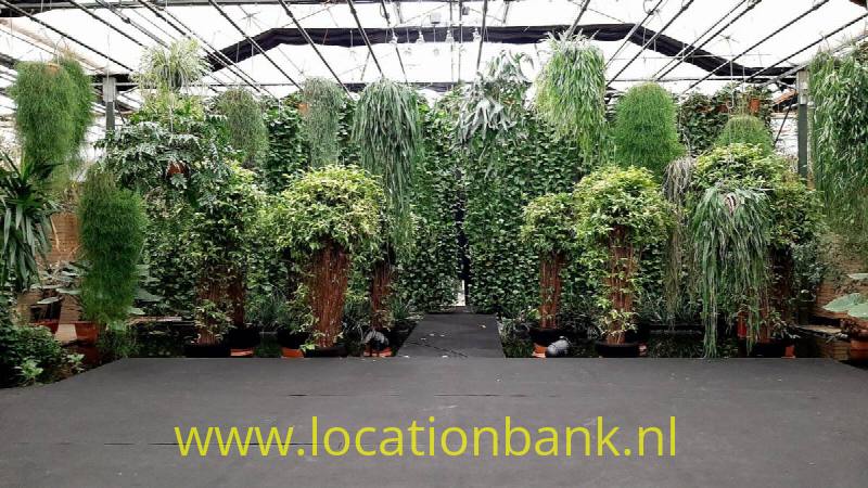 foto_31009