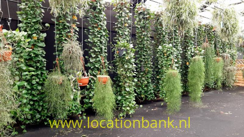 foto_31010