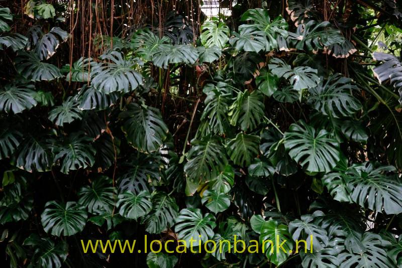 foto_31015