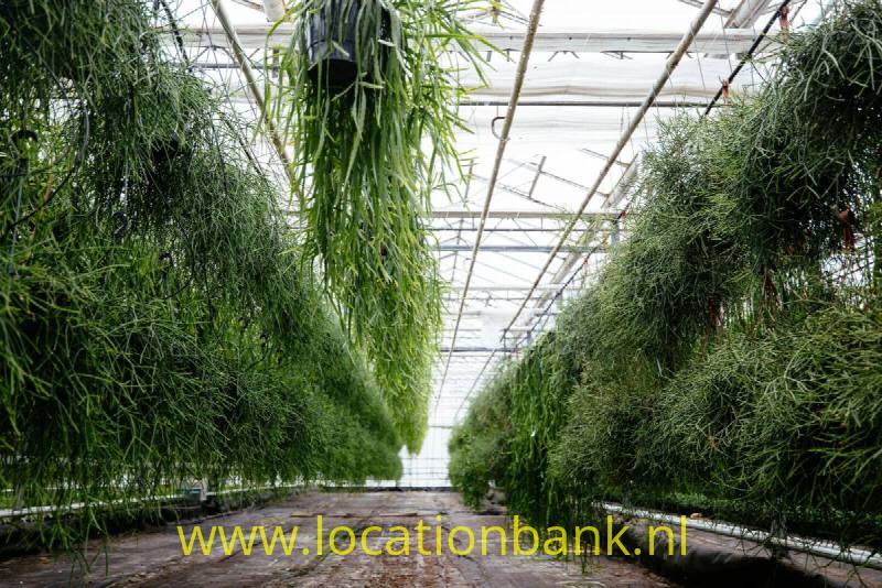 foto_31017