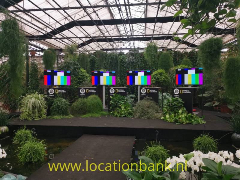 foto_31022