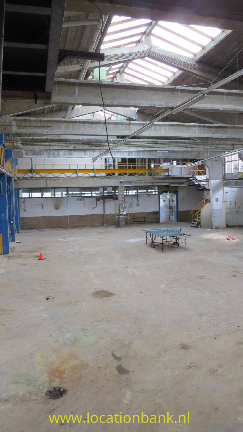 foto_38555