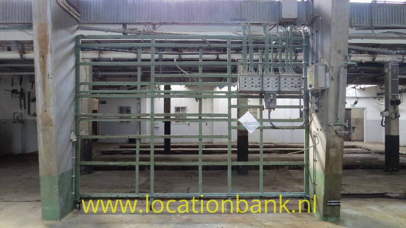 foto_38558