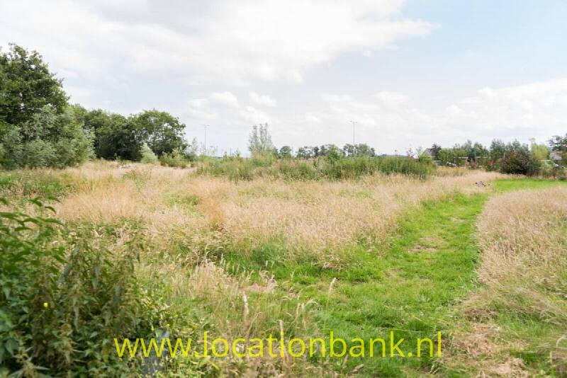 foto_31480