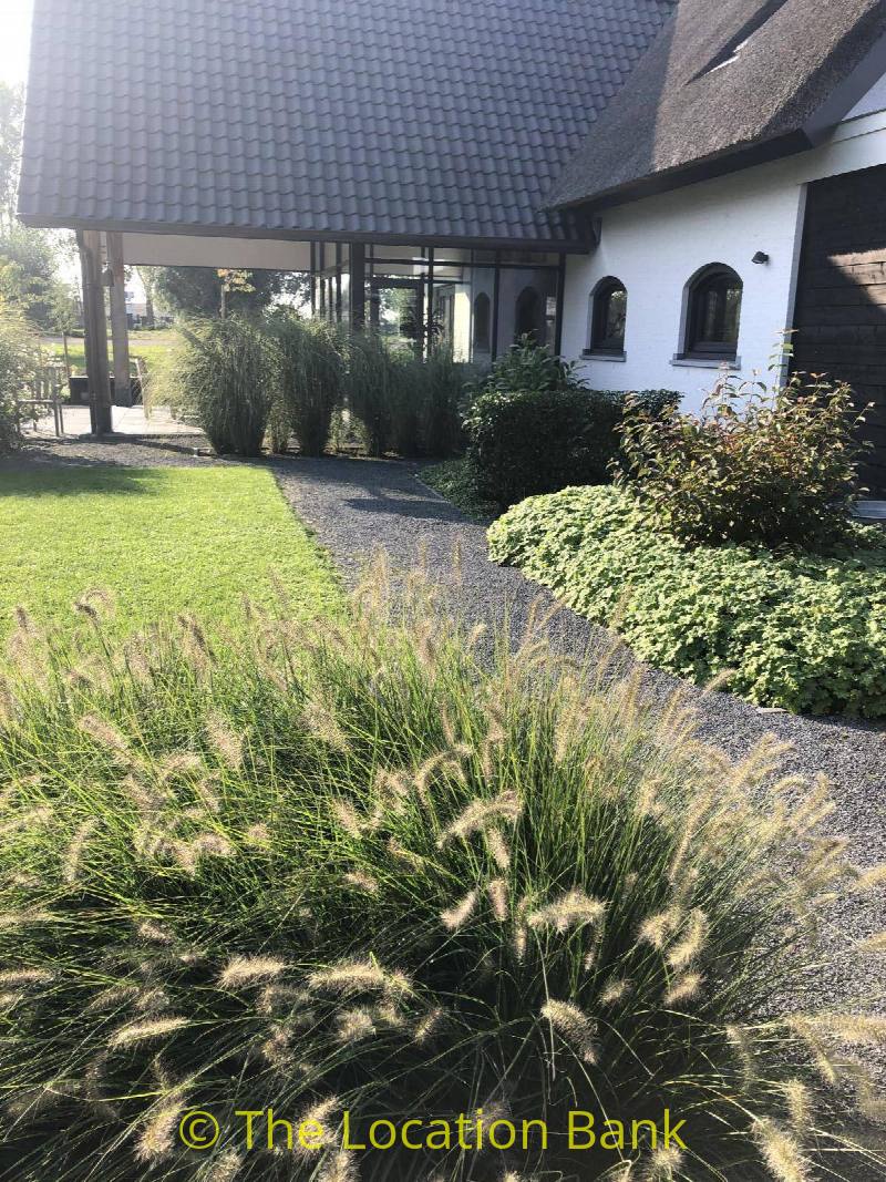 foto_33931