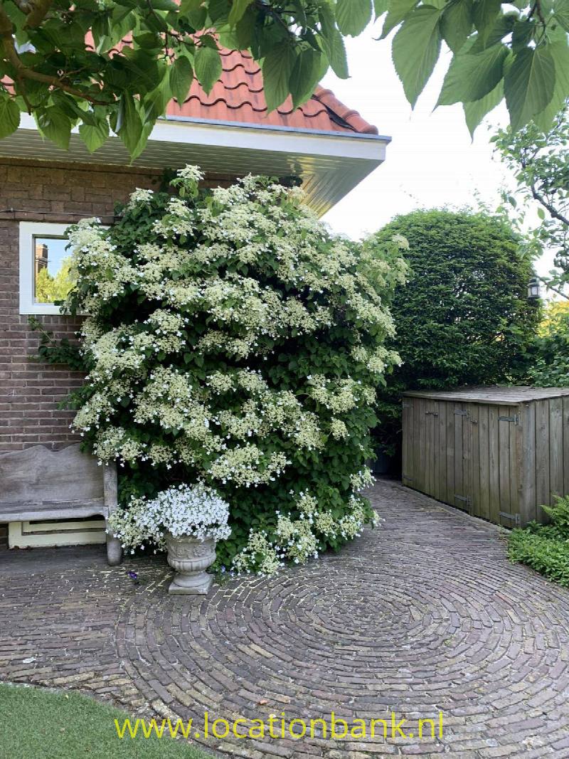 foto_34061