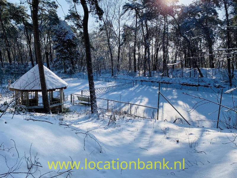 foto_34815