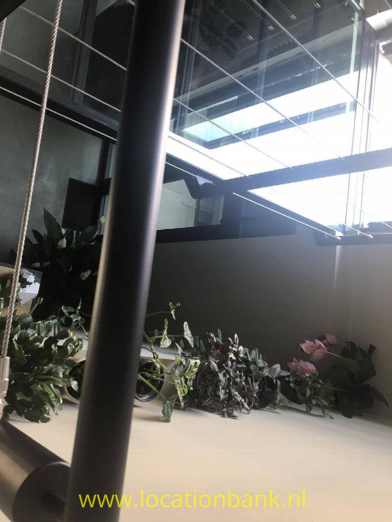 foto_36873