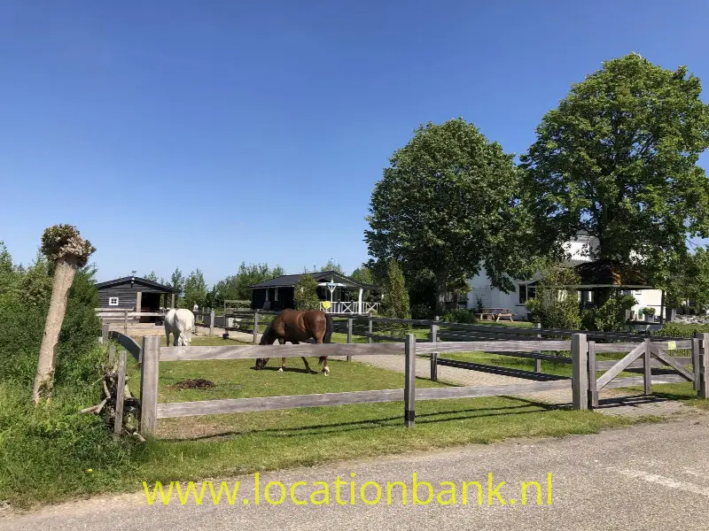 Paarden voorkant woning