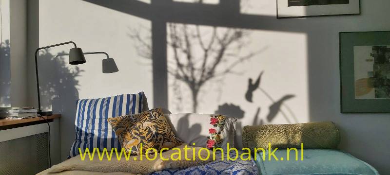 foto_35369