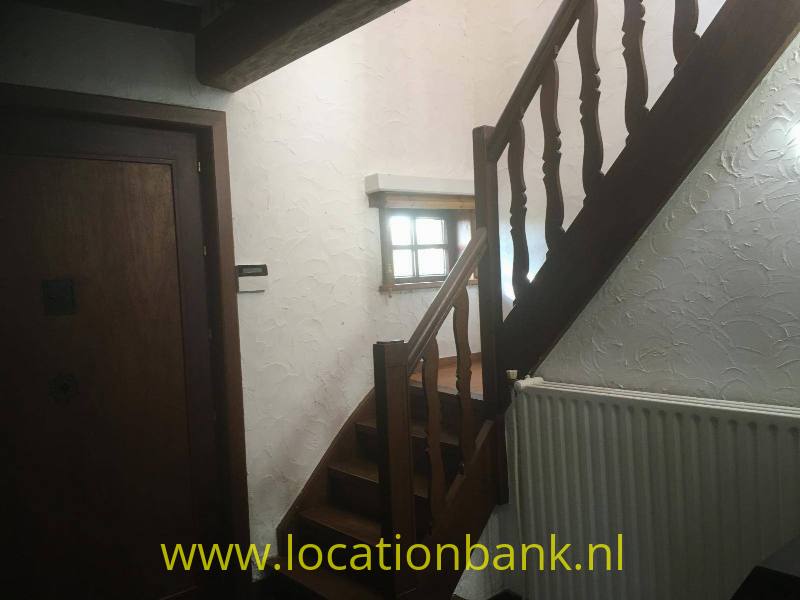foto_35619