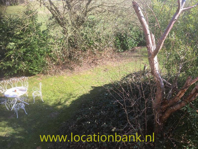 foto_35631