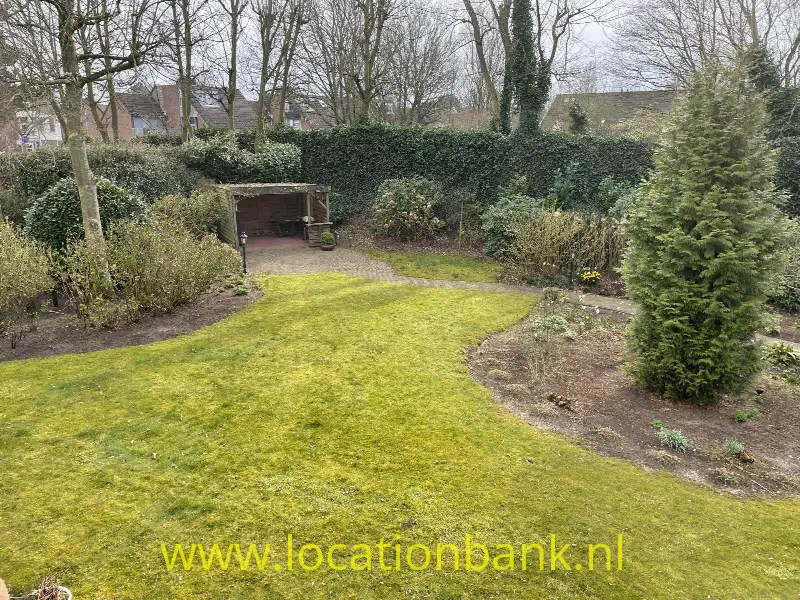 Tuin