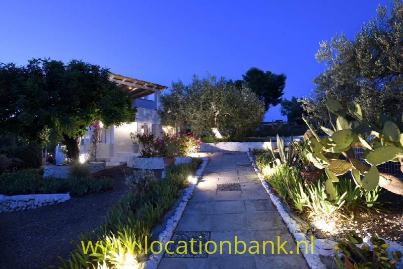 Night view entree