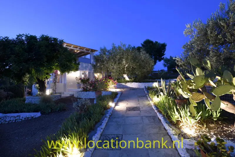 Night view entree