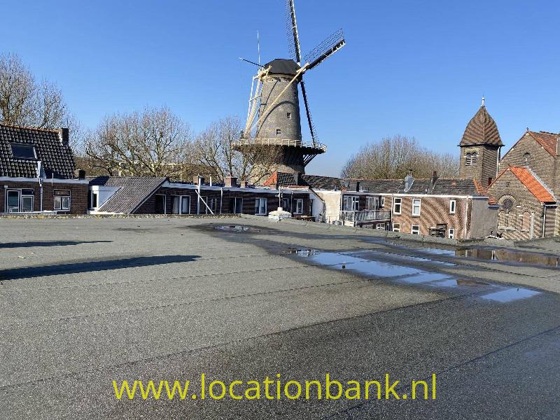 Groot dakterras me uitzicht op Molen de Walvis.