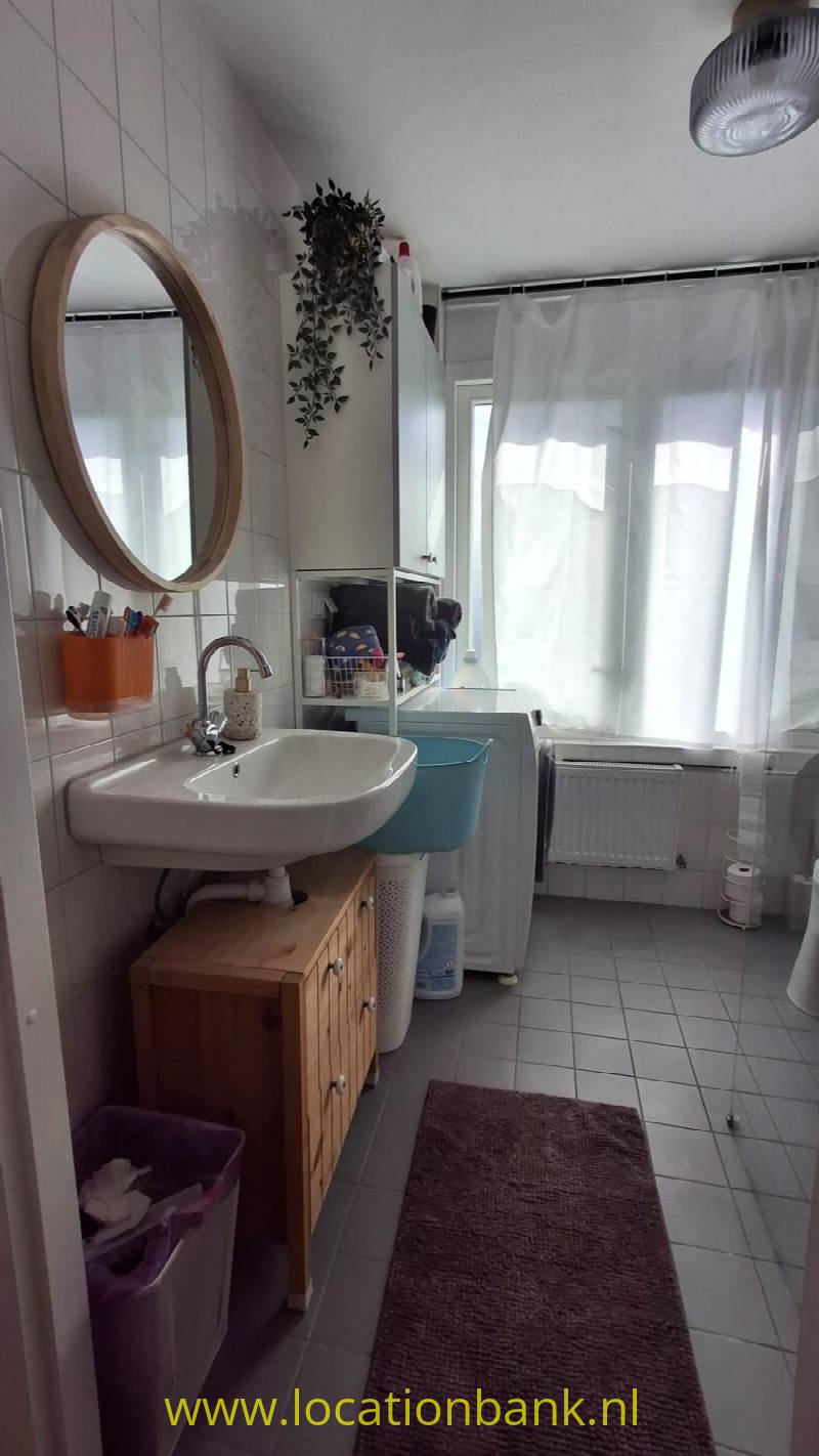 foto_50687