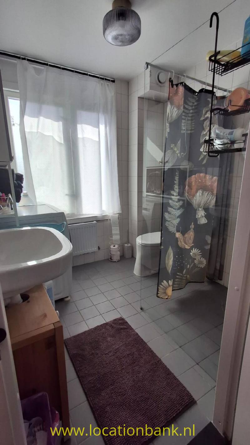 foto_50688