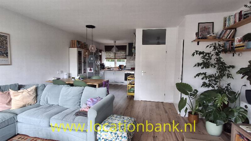 foto_50697