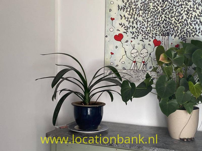 foto_36526