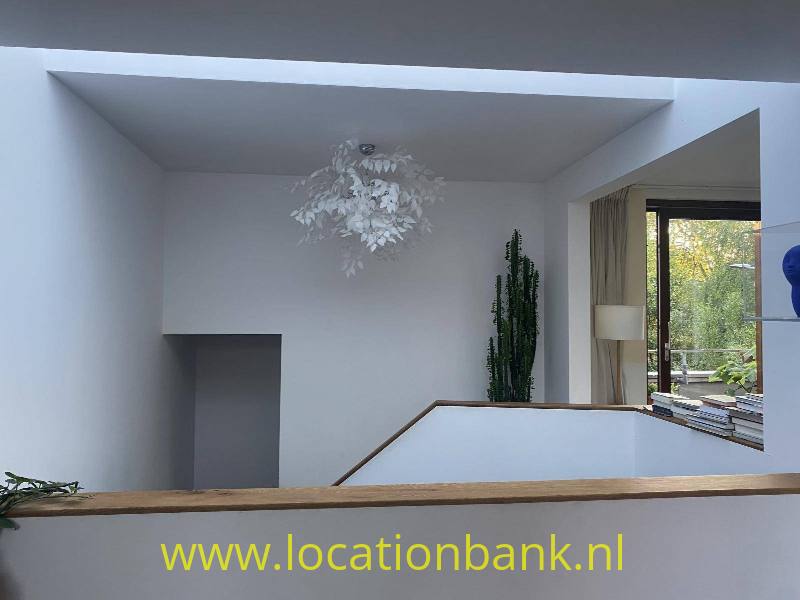 foto_36527