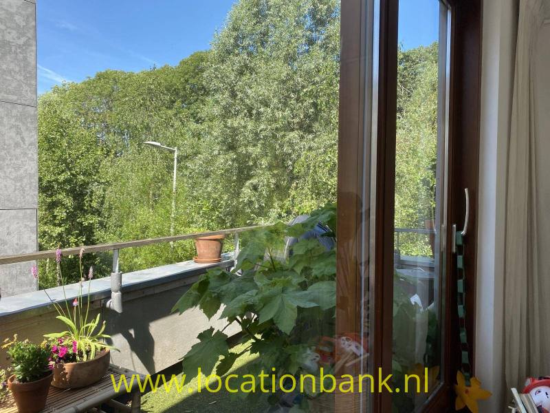foto_36629