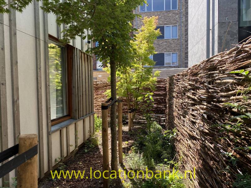 foto_36630