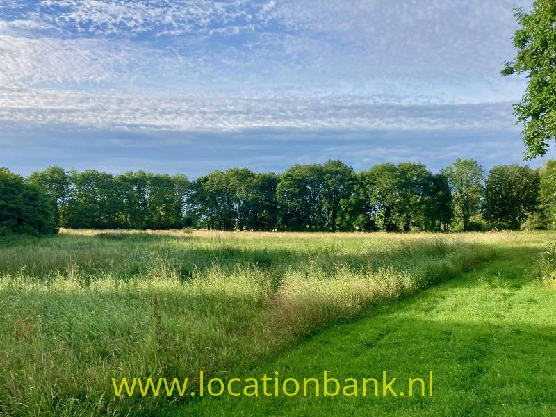 land