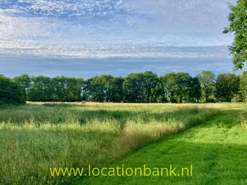 land