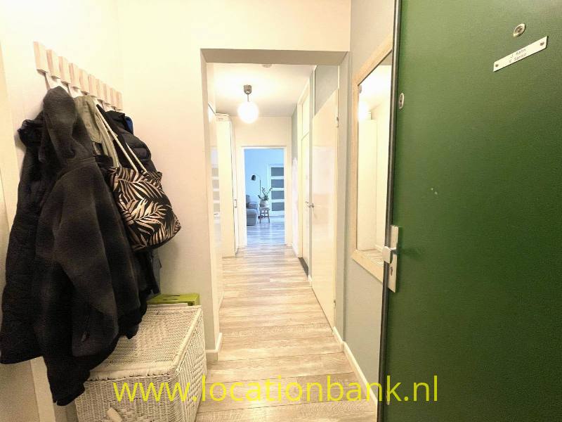 foto_37041